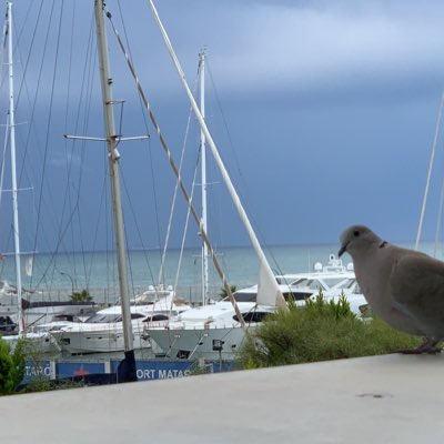 GoMaxSc's tweet image. #NewProfilePic