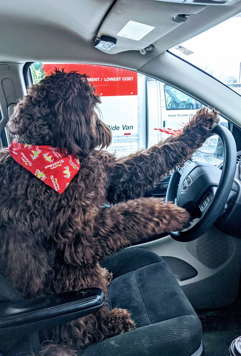 gingergypsy77's tweet photo. Safety matters! Use those mirrors before putting it in gear. @GregFaubert  @CKPSMedia https://t.co/LfkJqaGS3h