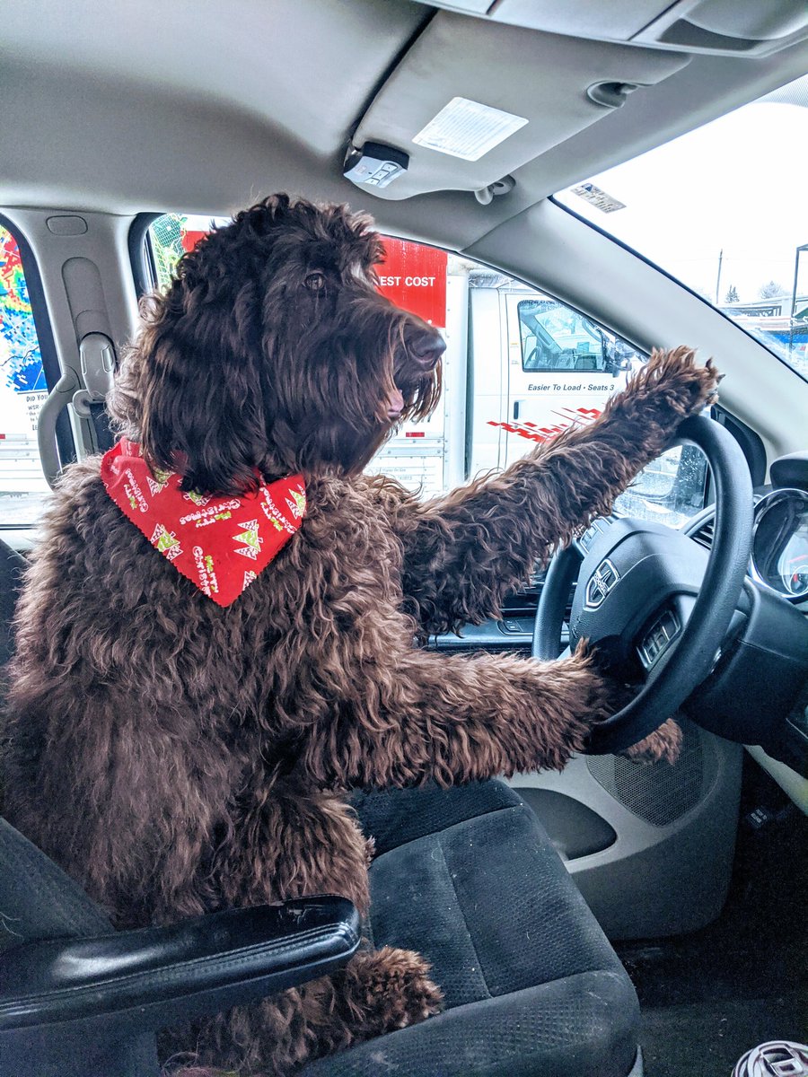 gingergypsy77's tweet photo. Safety matters! Use those mirrors before putting it in gear. @GregFaubert  @CKPSMedia https://t.co/LfkJqaGS3h