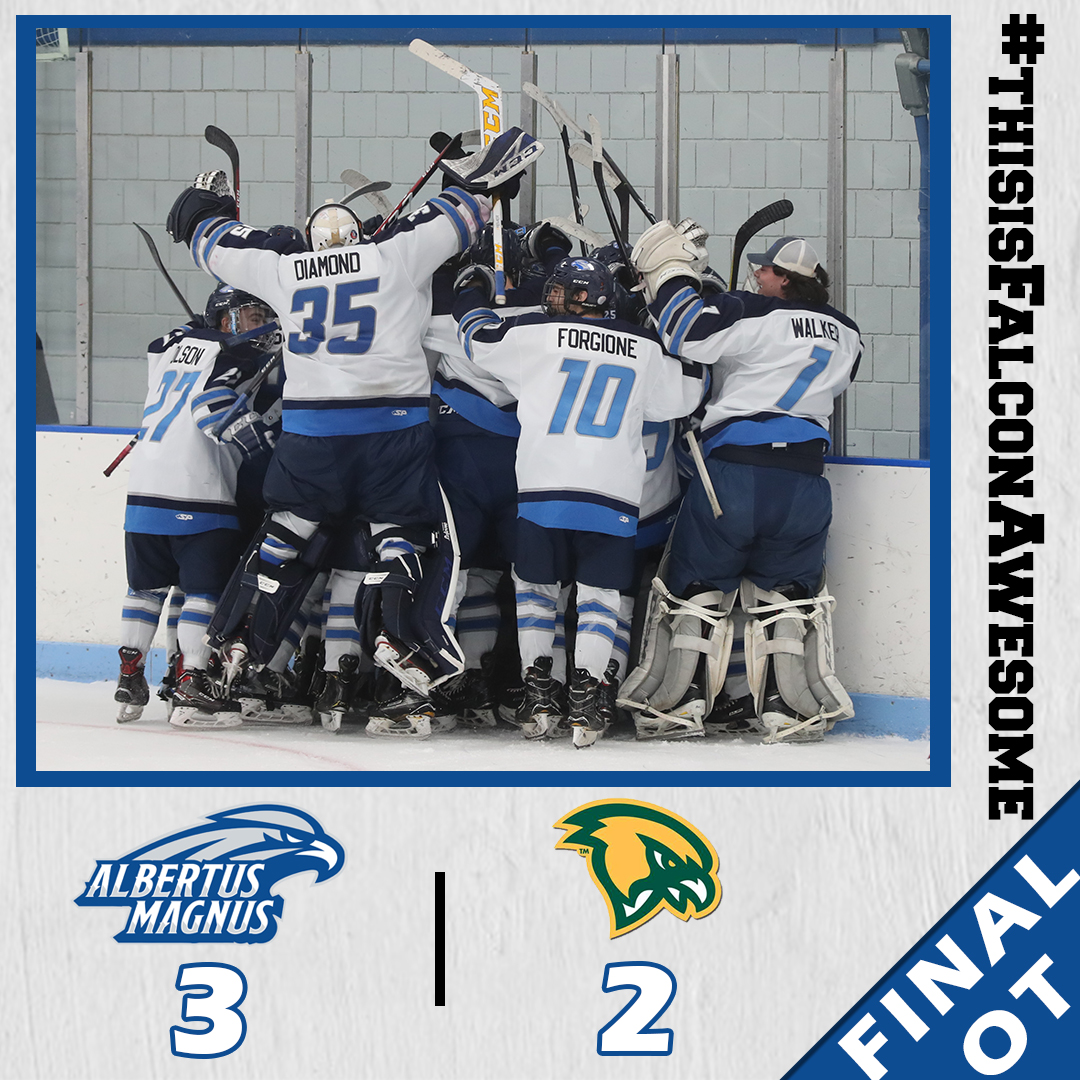 Albertus Magnus College Falcons tweet media