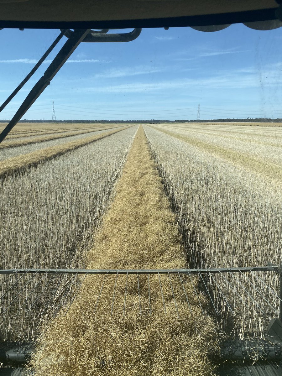 KeatingTroy's tweet photo. Harvest 19/20 done and dusted ✅✅ https://t.co/BUqlt6yi5N