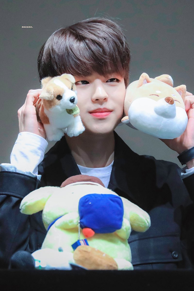 — 200104  ↳ day 4 of 366 [♡]; dear seungmin, today has been a really rough day for me but a simple thought about you made it feel less painful than it was, i love you to the moon and back my little guardian angel