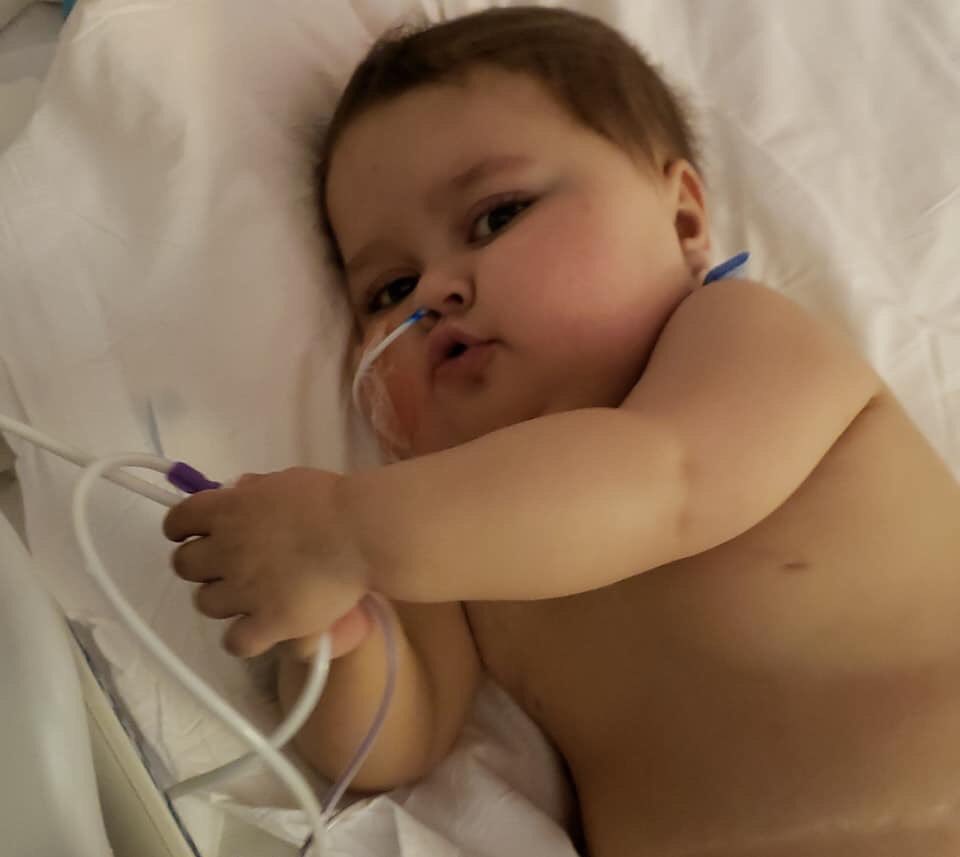 FulmerEmalyn's tweet photo. Our sweet Emmy gained her angel wings this evening. There are no words to describe the pain in our hearts, but we know she is flying high and pain free. She fought a long and hard fight and has finally won❤️ https://t.co/ssnPVCwMdI