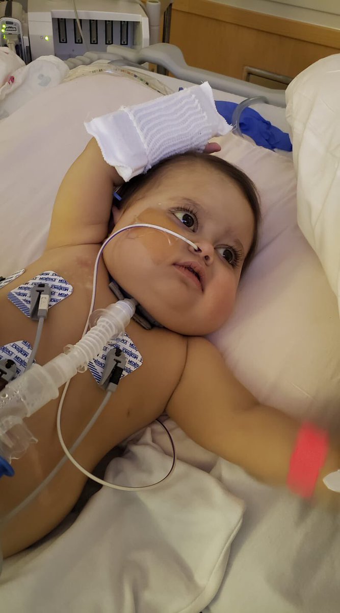 FulmerEmalyn's tweet photo. Our sweet Emmy gained her angel wings this evening. There are no words to describe the pain in our hearts, but we know she is flying high and pain free. She fought a long and hard fight and has finally won❤️ https://t.co/ssnPVCwMdI