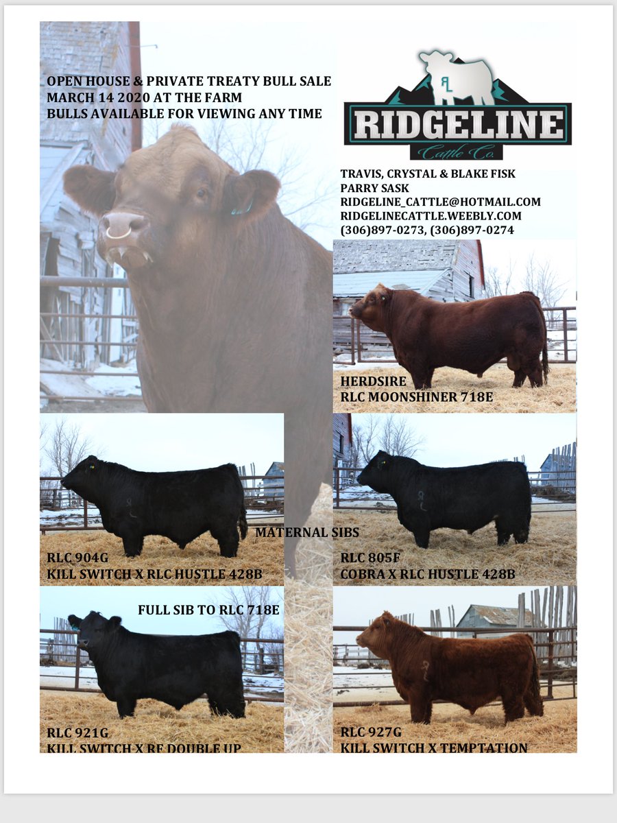 All the bulls are pictured with them on our website. Bulls are available for viewing any time.