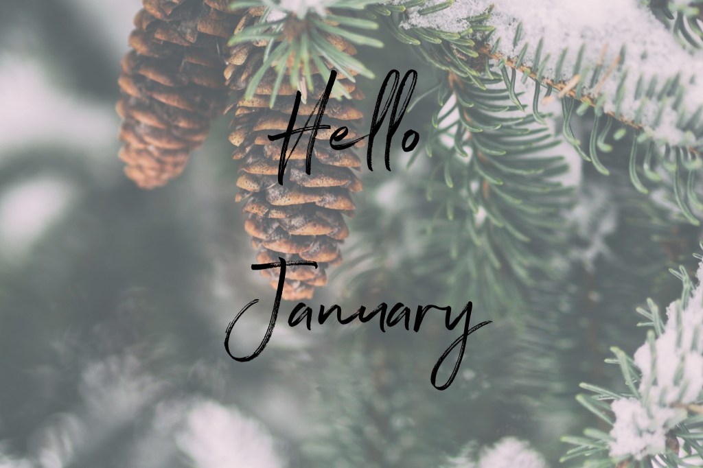 books_in_bloom's tweet photo. January TBR &amp; Featured Books https://t.co/XzYIGMljAU https://t.co/ZtAyW5kRU5
