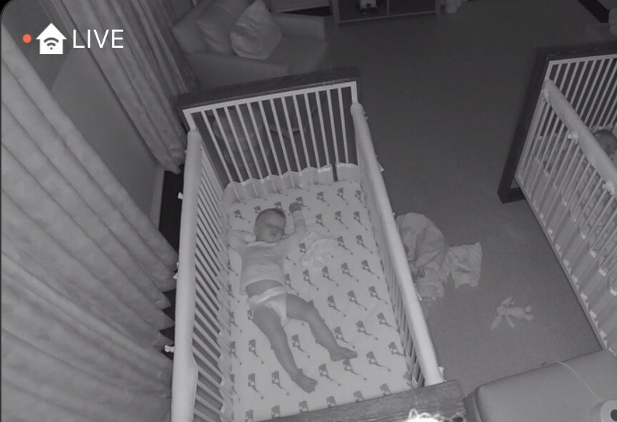 Sarah Ryan tweet media