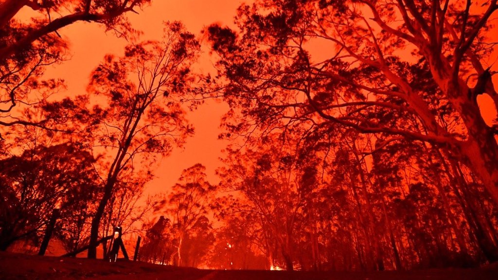 Faseeh_Tweets's tweet photo. While people making memes about the WW3, Australia is suffering the biggest fire ever happened
Wild fire broke out very quickly because of hot and dry weather.
Burned 5.7 million hectares, 10 million people get poisoned by wild smoke. 500 million animal died.

#PrayForAustralia https://t.co/529c0vVS1L