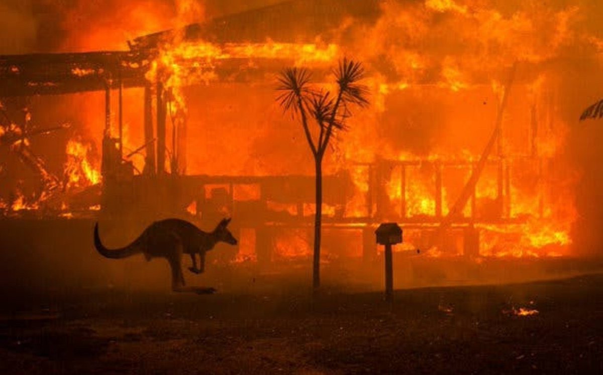 While people making memes about the WW3, Australia is suffering the biggest fire ever happened
Wild fire broke out very quickly because of hot and dry weather.
Burned 5.7 million hectares, 10 million people get poisoned by wild smoke. 500 million animal died.

#PrayForAustralia