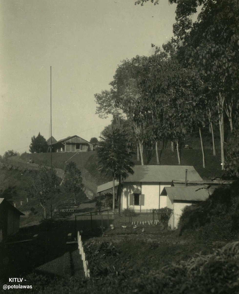 potolawas's tweet photo. Rumah-rumah warga didekat perkebunan karet di Tanggul Jember-Jawa Timur, sekitar tahun 1931-1934.
•
📸: KITLV
•
#potolawas #potolawasjember #jember #jemberhits #jemberhitz #jemberexplore #tanggul #tangguljember #jemberbanget #infojember #visitjember #explorejember #wisatajember https://t.co/YHyFfaKHWx