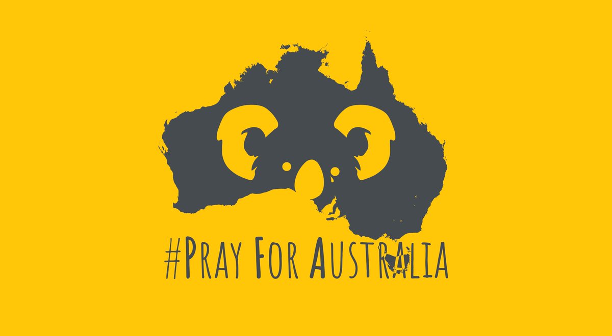 VanuaWilliams's tweet image. #PrayForAustralia 

That's so sad, we got to find a way to help