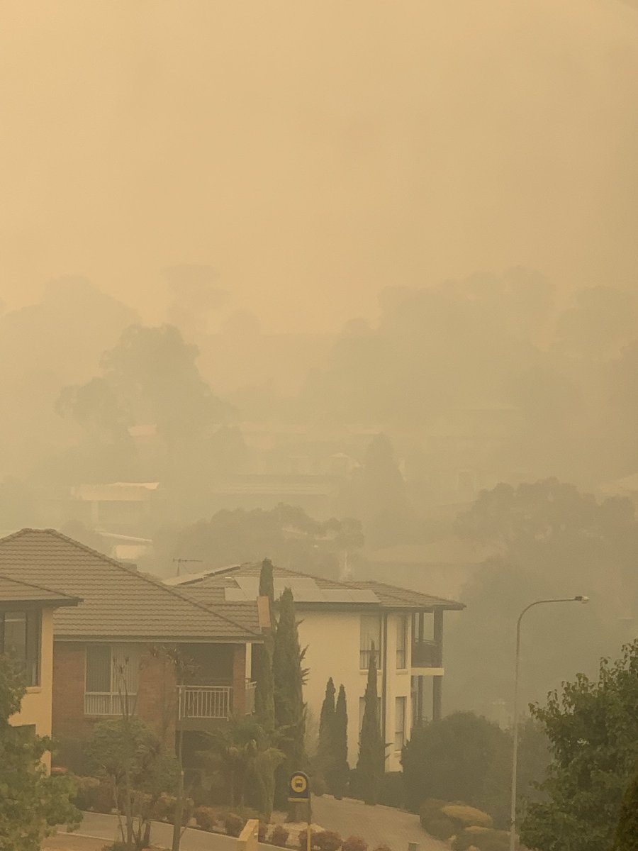 MargCresswell's tweet photo. View from bedroom window in Jerrabomberra, NSW (just over the Canberra border). Have a water bucket for birds in backyard that I’ve been refilling a few times a day - reduced to mud when they take a bath! https://t.co/Qhwbj9QU6K