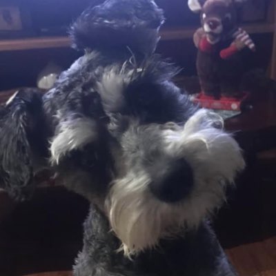morentin75's tweet photo. #NewProfilePic https://t.co/Bk8hA7Hjmy