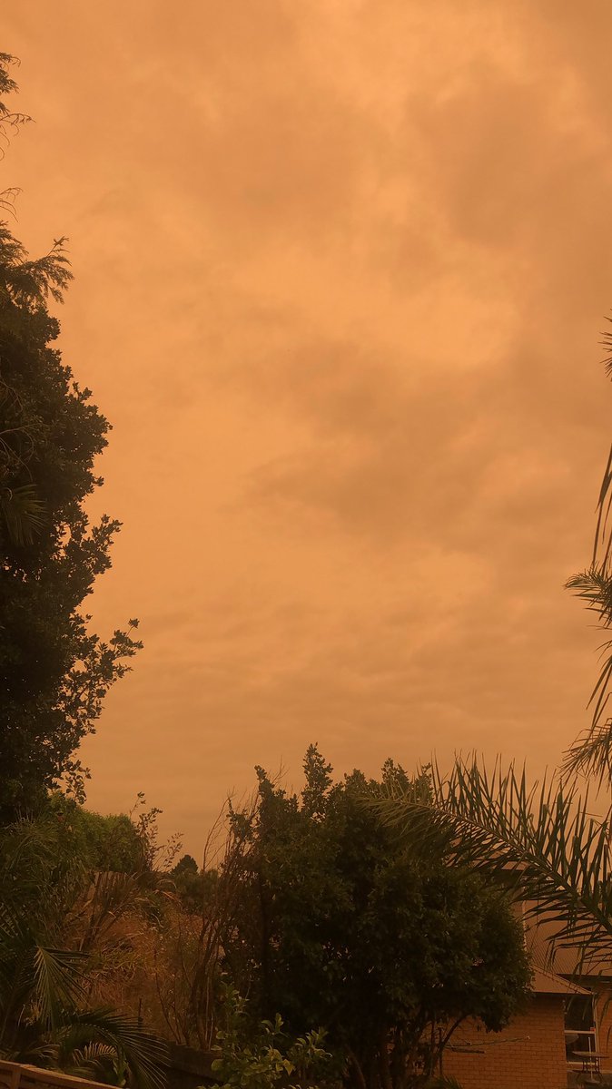 HansfordsM's tweet photo. Australia bush fires affecting Auckland Sky. Thinking of all affected by the fires in Sydney, Australia. This is a reminder of just how close we are #AUSTRALIANBUSHFIRES #AustraliaFires #bushfirecrisis #PrayForAustralia #aucklandsky #auckland #NewZealand https://t.co/CYZES6ipAQ