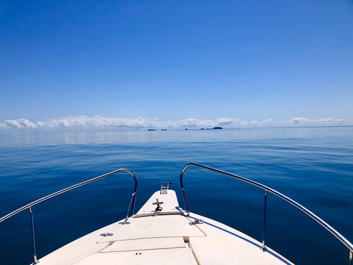 ozitodd's tweet photo. Perfect day @ Franklin Islands https://t.co/dcZCy228Cf