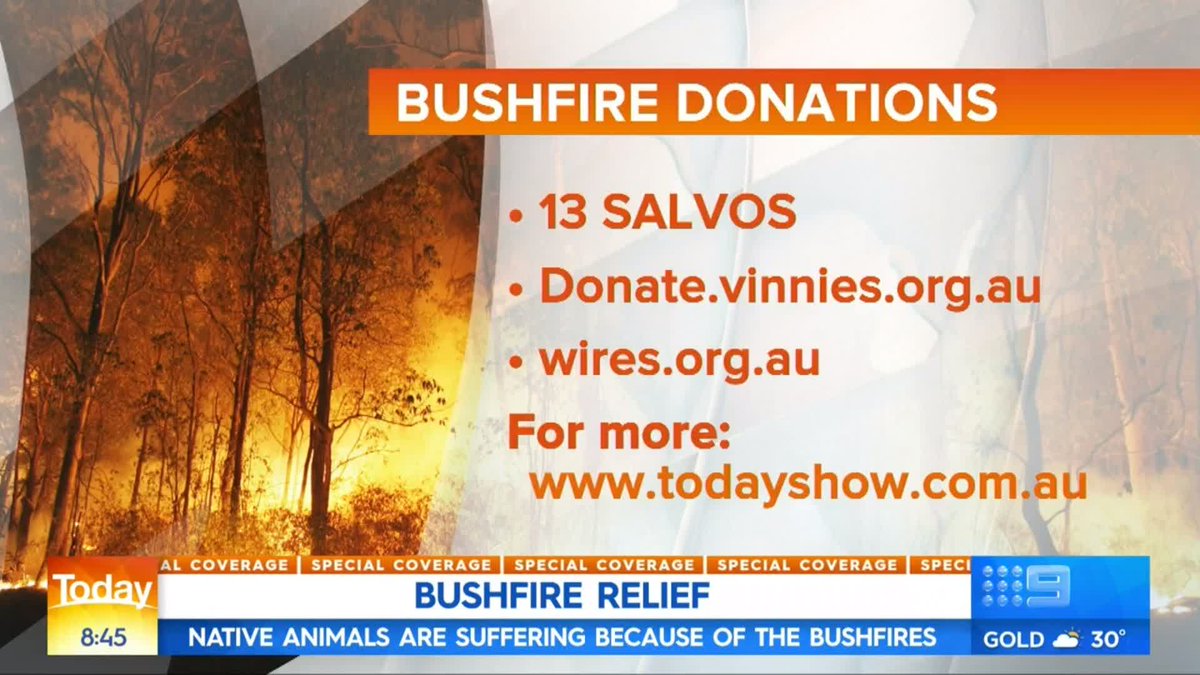How are Aussie charities helping in the bushfire crisis? - PBA