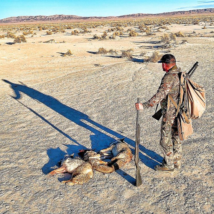 kingscamo's tweet photo. Are you following along with @hidden_instinct on their coyote tour? If not, head to their YouTube page and take notes! Nice work guys!
.
#kingscamo #XKGseries #desertshadow #hiddeninstinct #coyotehunting https://t.co/0FZnSxfKGA