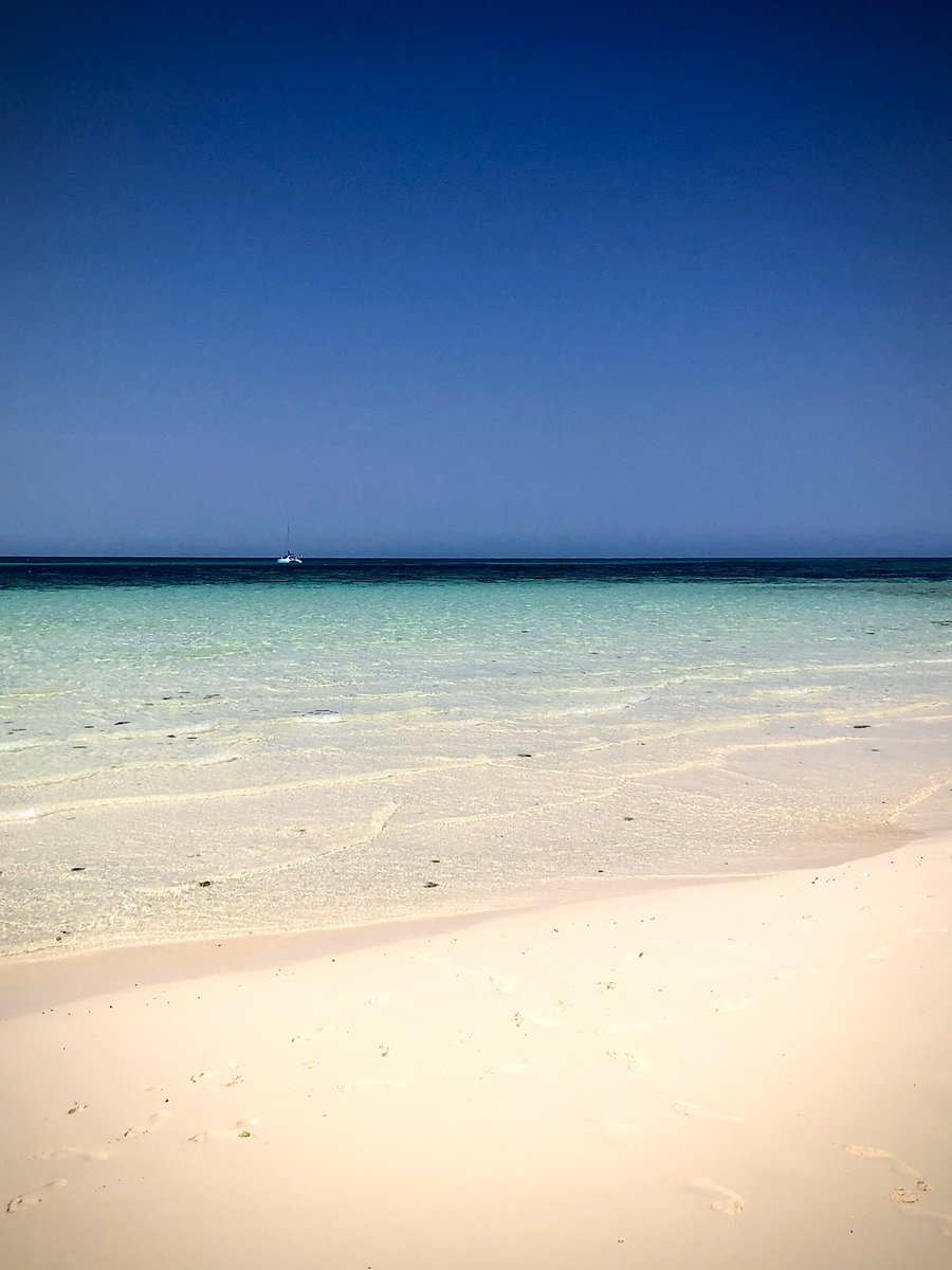 ozitodd's tweet photo. Vlasoff Cay GBR https://t.co/3wea4m0M6d