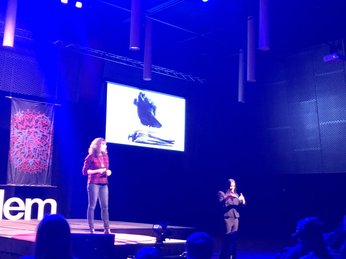TEDxSalem_com's tweet photo. There’s much to learn from how crows interact with their dead, says @corvidresearch #tedxsalem https://t.co/WIBAKPlslz