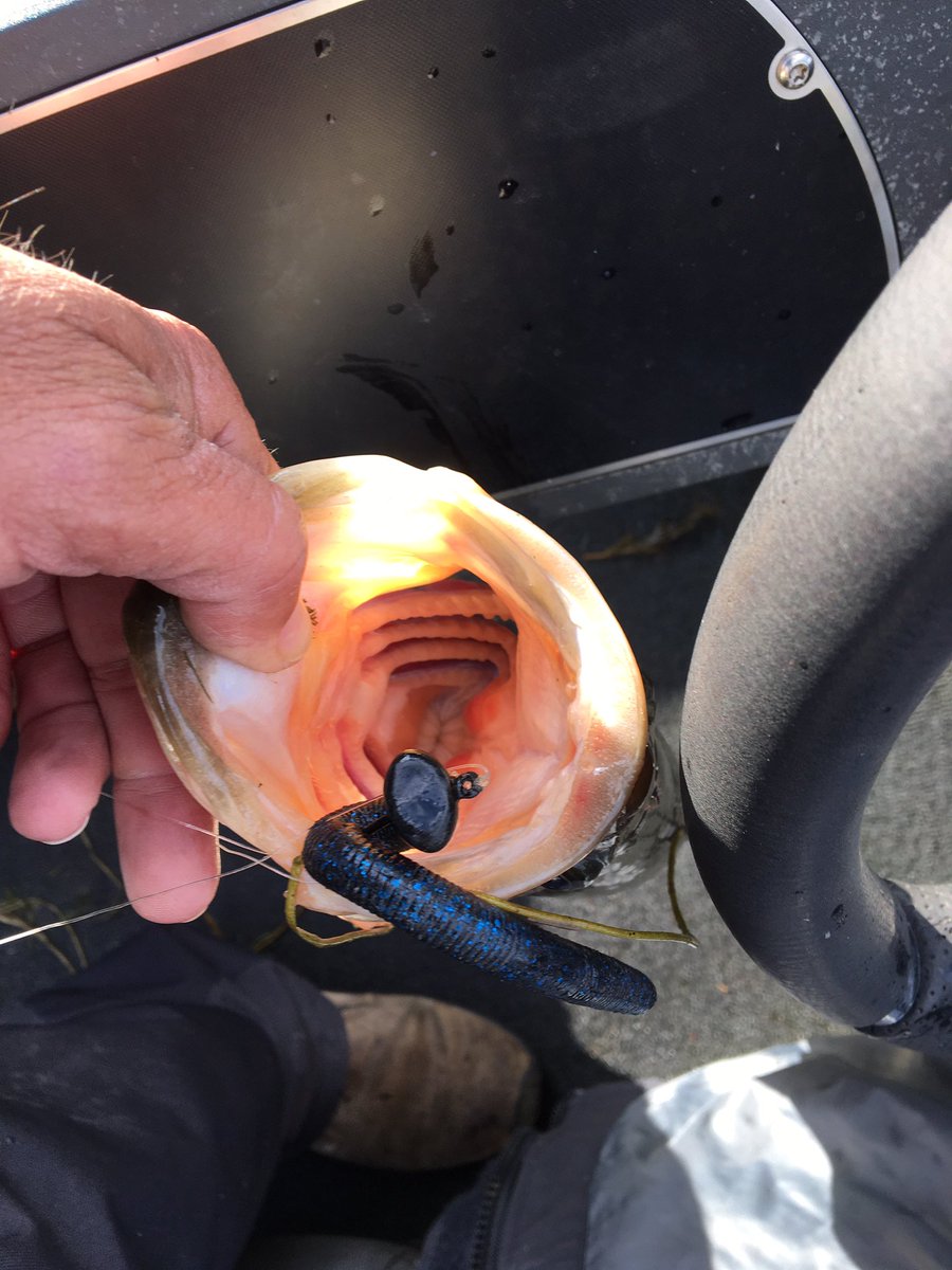 STEVENDEANDEMPS's tweet photo. SD Fishing and Jeff Davis get it done with SD Fishing football head shaky heads again today even in rough conditions.#Enigmafishing,#K9fishingproducts,#GillFieldStaff,#yankumcustomtackle,#connectscale,#DJMarineElectronics. https://t.co/uyvVlaFEg0