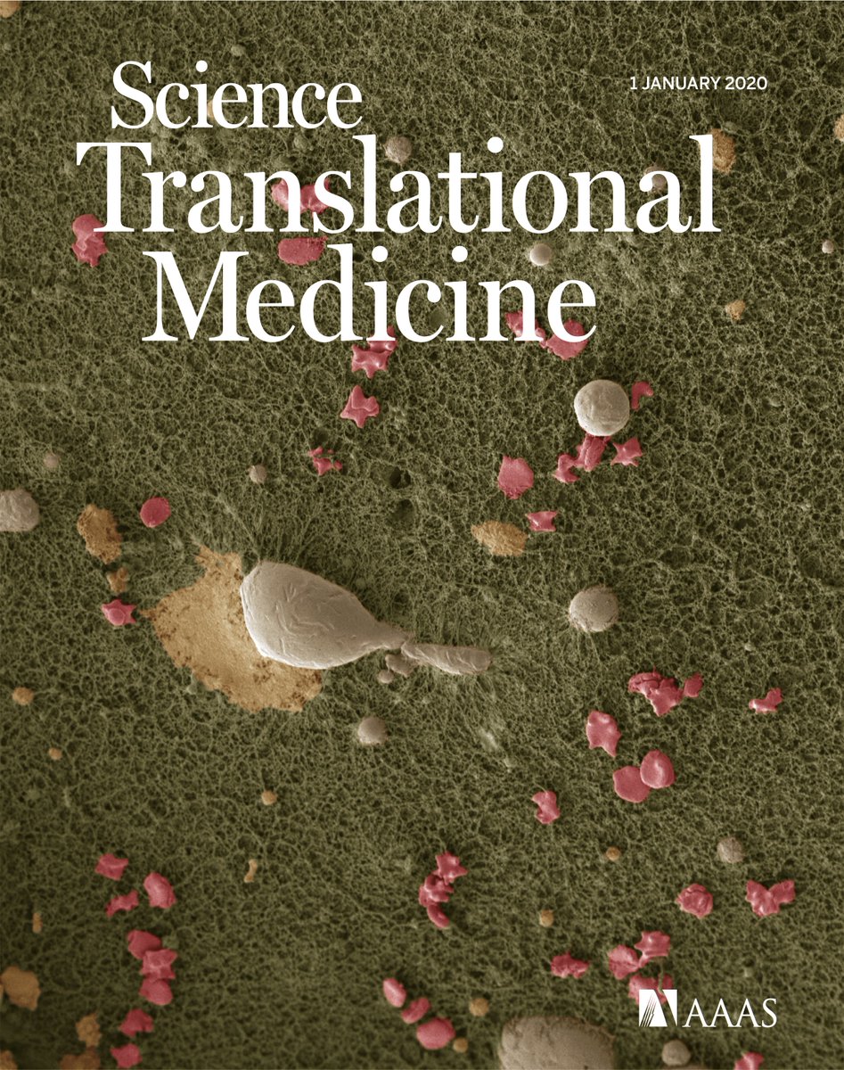 PuthiaManoj's tweet photo. New treatment with double defense: we have developed a hydrogel containing a thrombin-derived peptide that has antibacterial and anti-inflammatory properties. We learn from body's natural defenses and design new drugs. #antibiotics #infections #woundhealing #sustainablefuture https://t.co/sumZfIEBIw