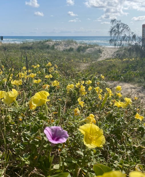 Aberbane's tweet photo. Being unique is what makes us beautiful. 
Embrace your beautiful. ❤️
#beautiful #unique #embraceyourself #youarebeautiful #daretobedifferent #flowers #beach #ocean #selflove #bekind #standout #shine #love #youareamazing https://t.co/b2cRK17Un6