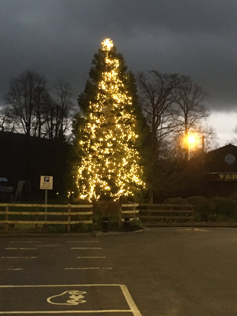 Heather0730's tweet photo. Now off for a whole week’s annual leave! 🥳 Looking forward to some time to relax at home. I’ll miss seeing this each morning when I go back to work though! #NQM #Relax  #GoodbyeXmasTree https://t.co/x1YO2CSI9T