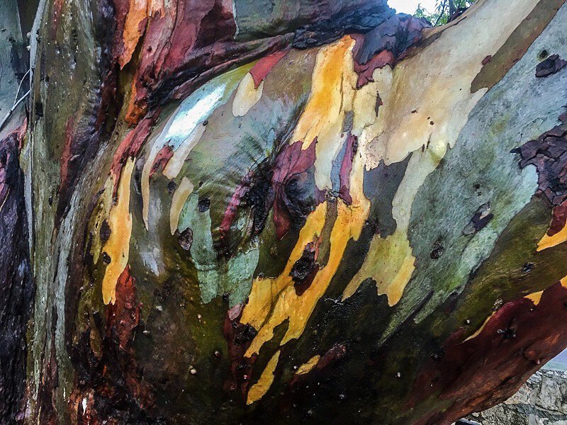 Richard Geraint Evans tweet media