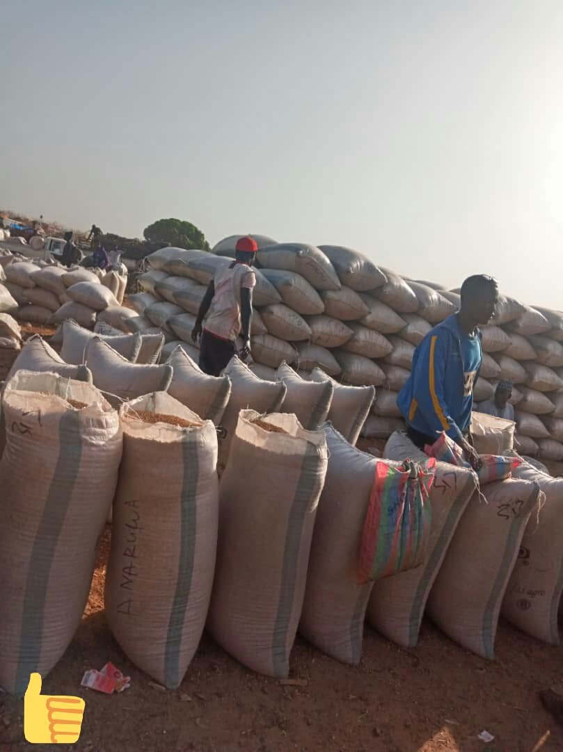 Soya Beans Farmers Association of Nigeria (SOFAN) tweet media