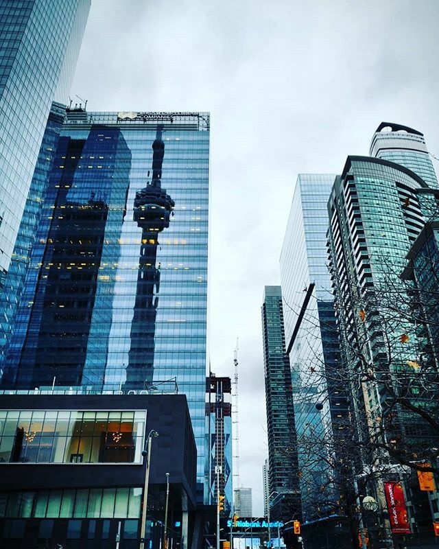 TracingKaro's tweet photo. So where the hell is CN tower? Oh...
.
.
.
.
.
. 
#tdot #tdiggityo #raccooncity #toronto #cntower #city #skyscrapers #touristing #ontario #visiting #canada #visitcanada https://t.co/8Q7YlczMfQ https://t.co/l25by15YUI
