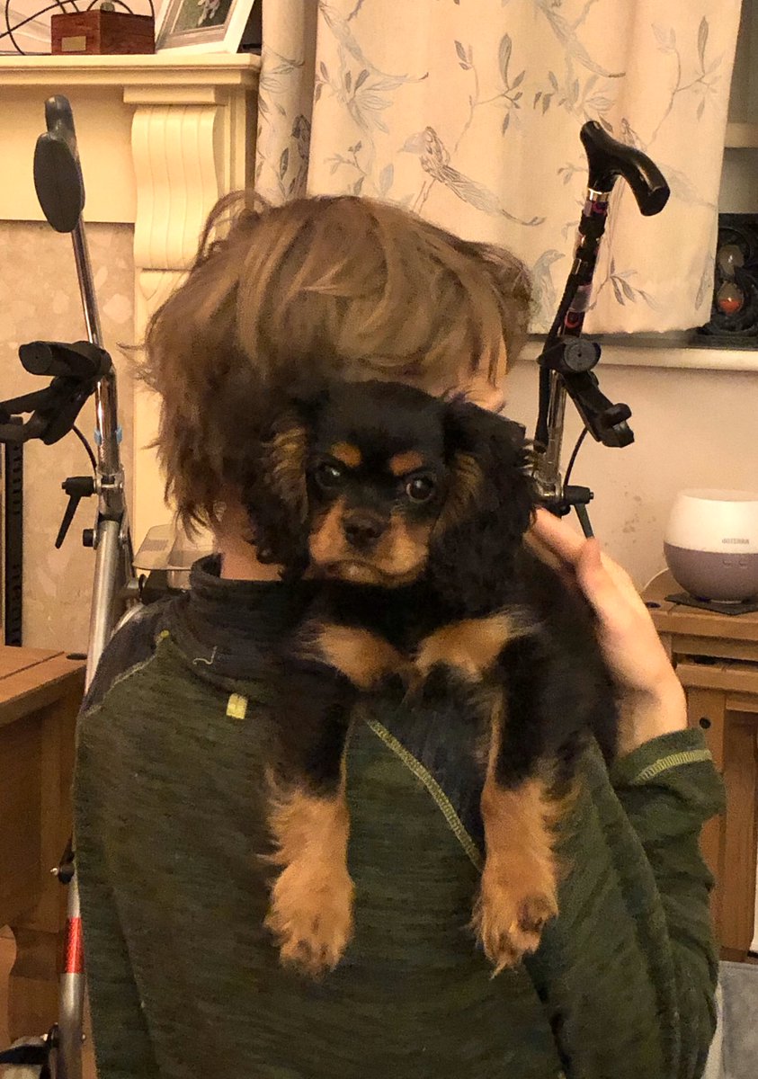 HeidiCavalier's tweet photo. I’m officially master C’s baby. 🐶💙 https://t.co/fNnJQhy9Vr