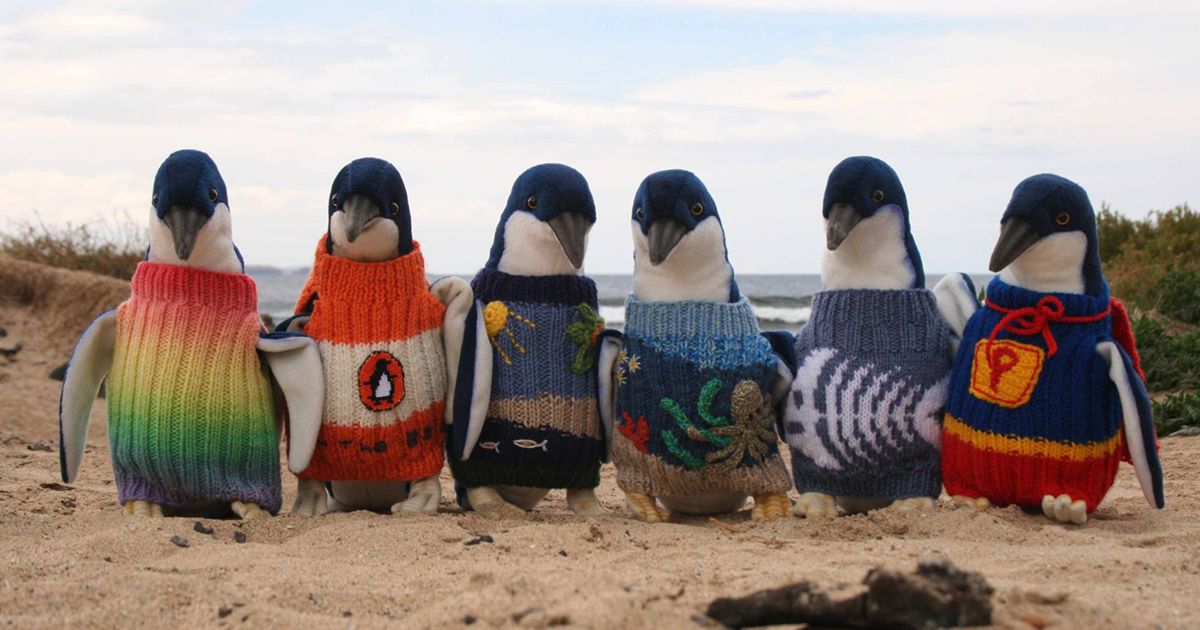 Oldplparecool's tweet photo. “109-year-old Australian Alfred Date has been knitting since the 1930s and his latest/most famous endeavor was making mini sweaters… for endangered penguins!” #OPAC #OldPeopleAreCool #GeroTwitter @linkedsenior @boredpanda https://t.co/0Jg7Peaf4o https://t.co/CWyjVzO5RY