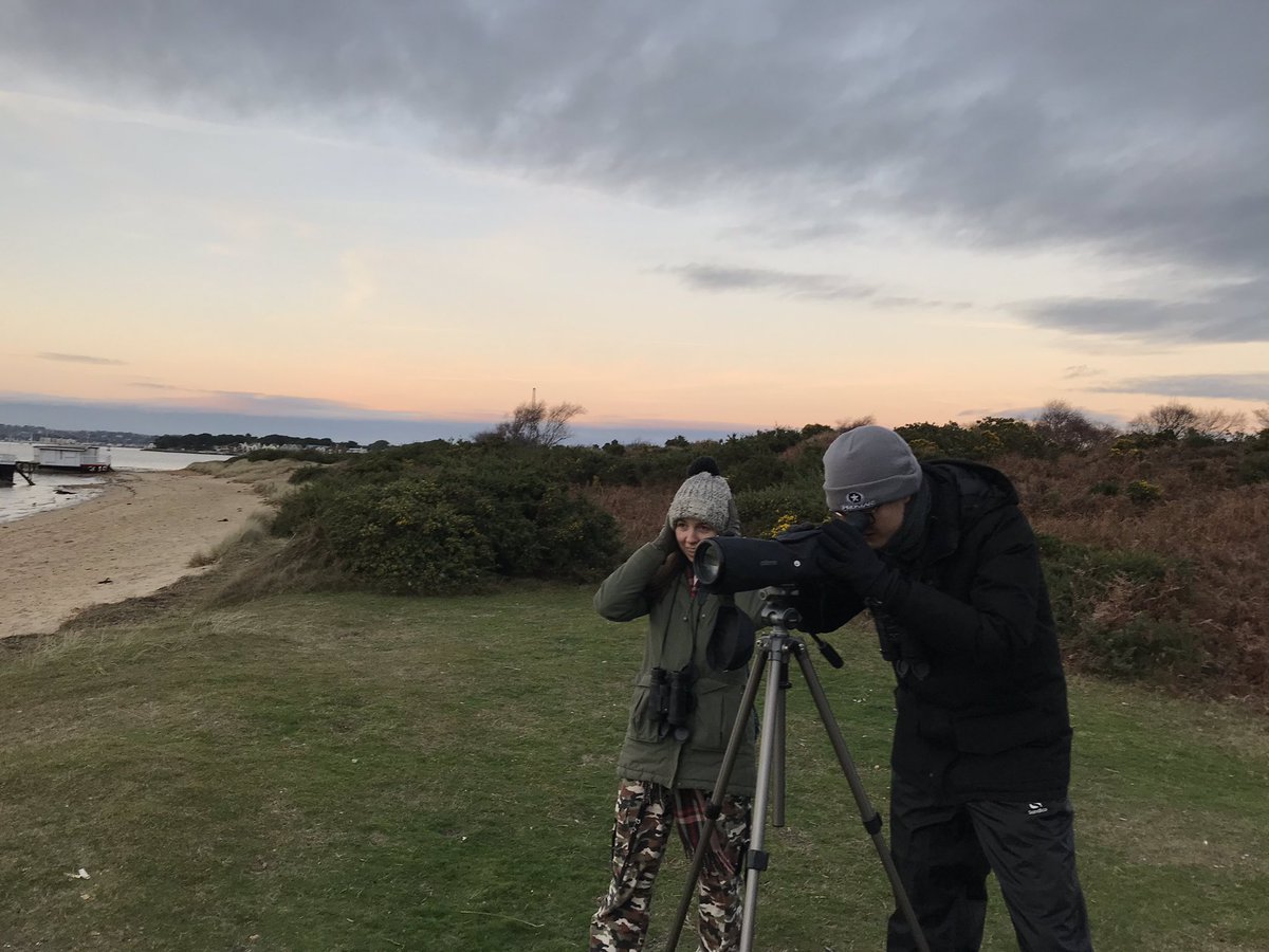 emmaeatough's tweet photo. Spent today at @RSPBArne learning how to identify (54!!) bird species with @apb_birds and @BrittanyMaxted 🦆 a perfect way to start 2020! https://t.co/Mc56fZGO0y