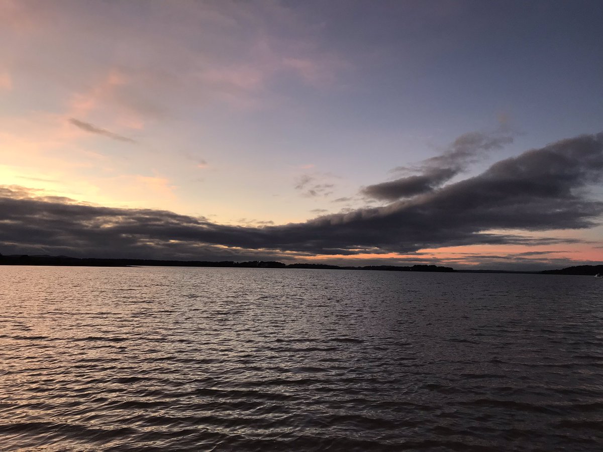 emmaeatough's tweet photo. Spent today at @RSPBArne learning how to identify (54!!) bird species with @apb_birds and @BrittanyMaxted 🦆 a perfect way to start 2020! https://t.co/Mc56fZGO0y