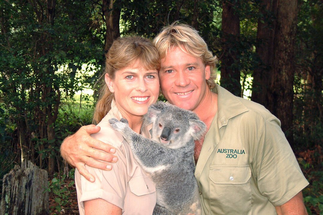 AustraliaZoo's tweet photo. 💙🐨 https://t.co/pvfGFVlKyL