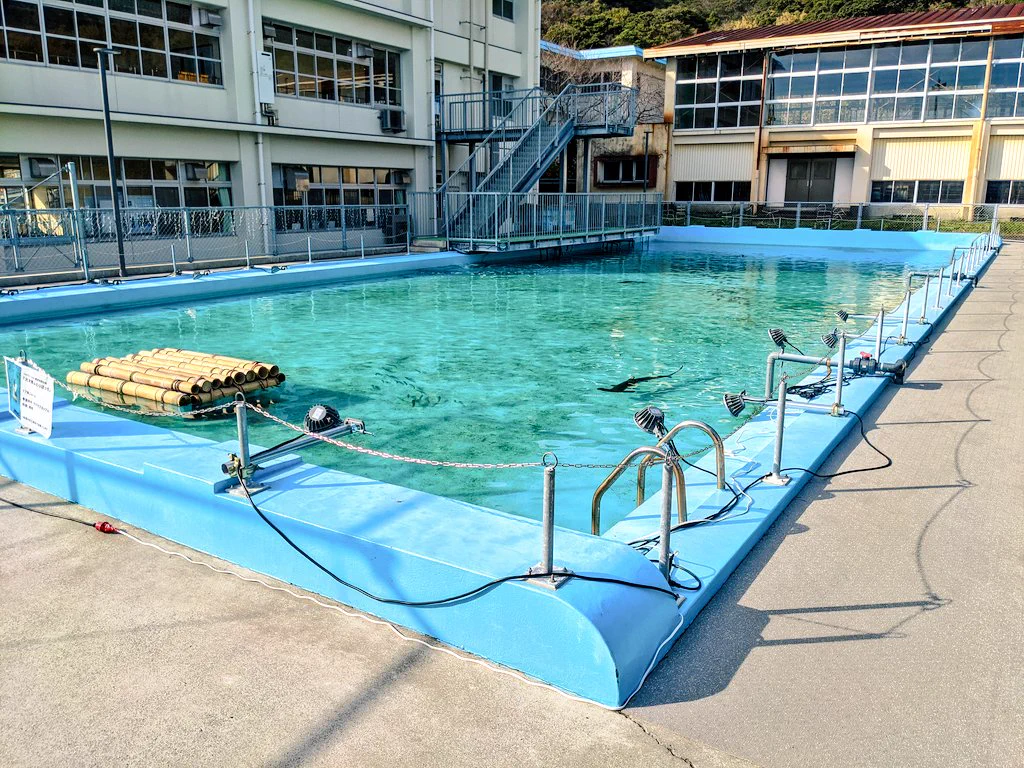 プールにはサメ、手洗い場には金魚？！廃校になった小学校が水族館に！