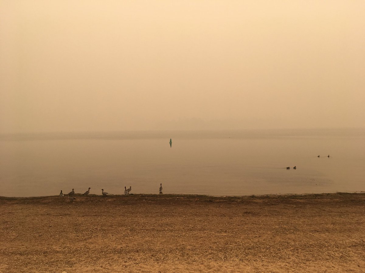 andrew_mueller's tweet photo. Lake Burley Griffin foreshore near Yarralumla. This should be quite a decent view across to Black Mountain. https://t.co/97VvVX8qTP