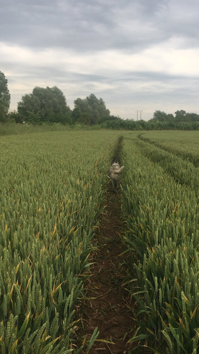 Samkell65742117's tweet photo. The road ahead looks pretty uncertain right now, some tough decisions to make 🤔 https://t.co/IC6ksKTS88