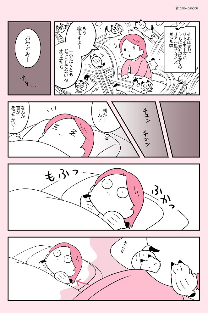 多幸感がすごかった話。 