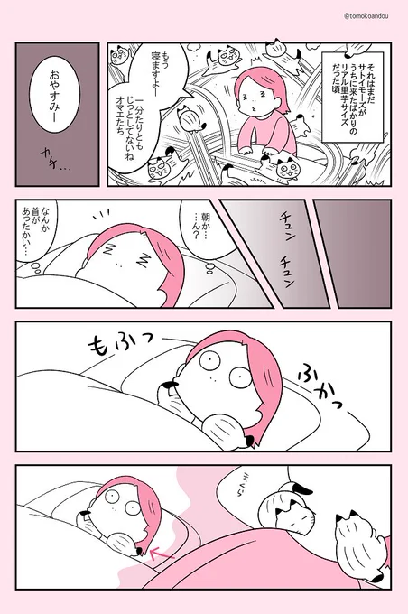 多幸感がすごかった話。 