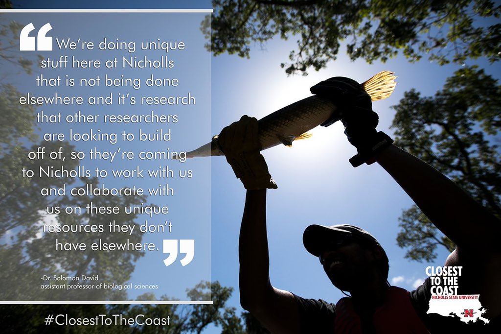 NichollsState's tweet image. Here at Nicholls State University, you are GARanteed to get a unique education. 

nicholls.edu

#ColonelPride #GarLab #ClosetToTheCoast #lalege