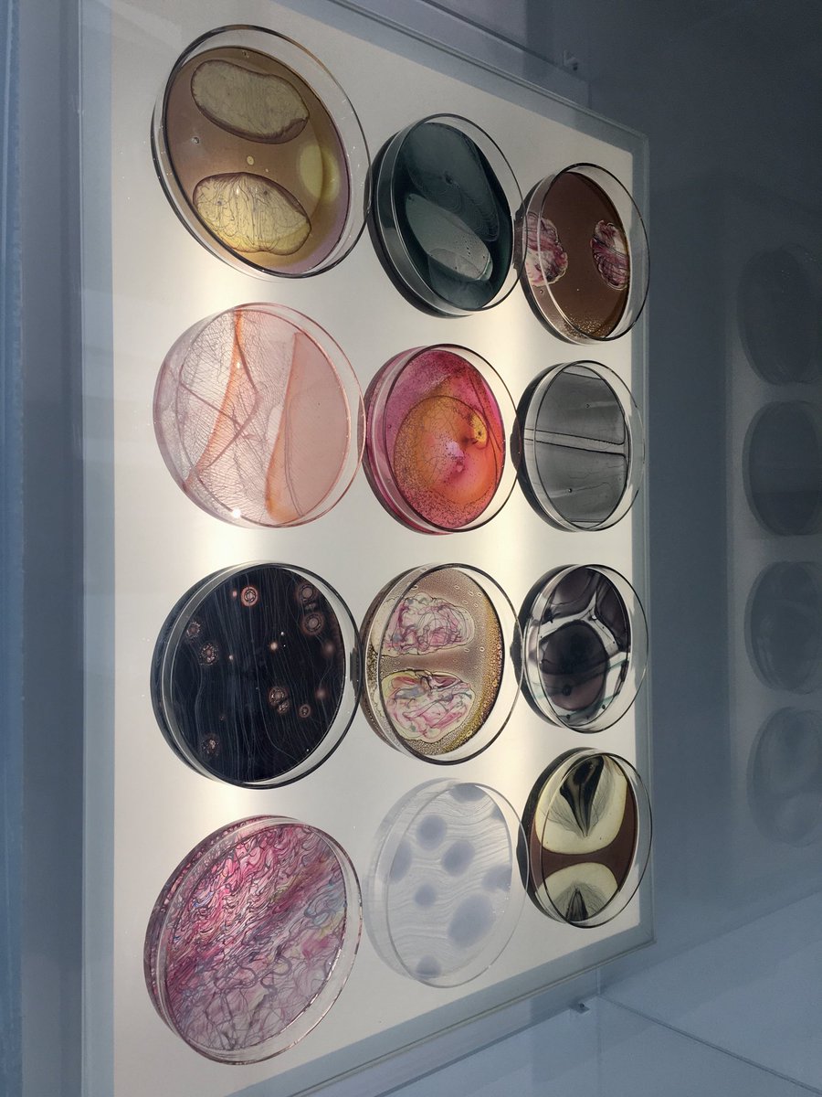 Paula63310271's tweet photo. Art meets science...cool #NewGlassNow https://t.co/apBEV4FqWz