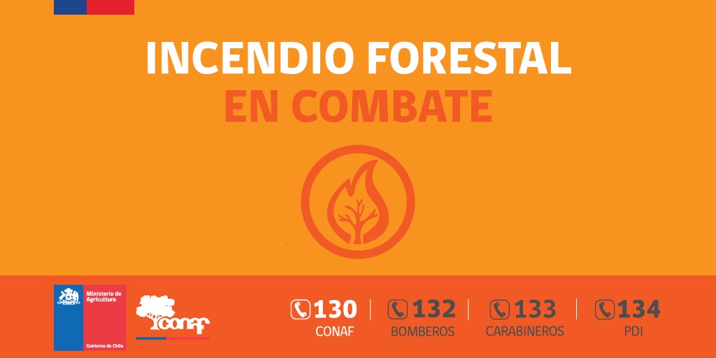 CONAFBiobio's tweet image. 🔵ACTUALIZACIÓN | #IF Brasil, en Laja.
Superficie afectada estimada: 800 hectáreas.
Continúan labores de control por parte de:
✅4 brigadas, 1 helicóptero y 1 avion de Conaf.
✅Recursos aéreos y terrestres de @EmpresasCMPC 
✅Bomberos
☎️#Fono130CONAF