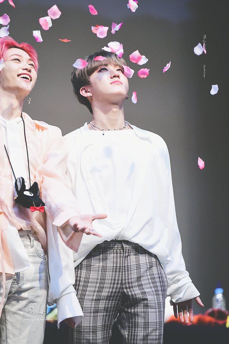 TheLastVerse_cb's tweet photo. 200104 노량진 🌹🌸🌹🌸

#스트레이키즈 #StrayKids #スキズ
#창빈 #ChangBin #チャンビン
@Stray_Kids https://t.co/MruHz89uvy
