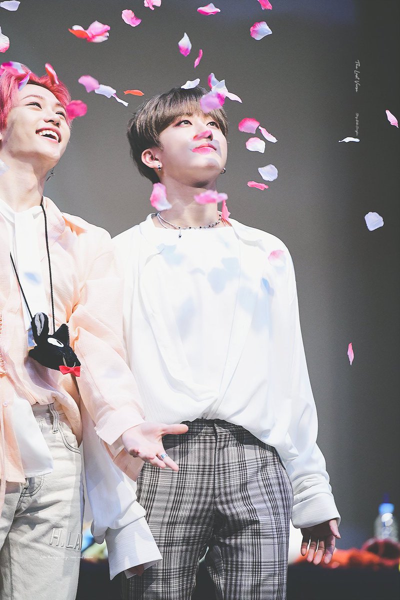 TheLastVerse_cb's tweet photo. 200104 노량진 🌹🌸🌹🌸

#스트레이키즈 #StrayKids #スキズ
#창빈 #ChangBin #チャンビン
@Stray_Kids https://t.co/MruHz89uvy