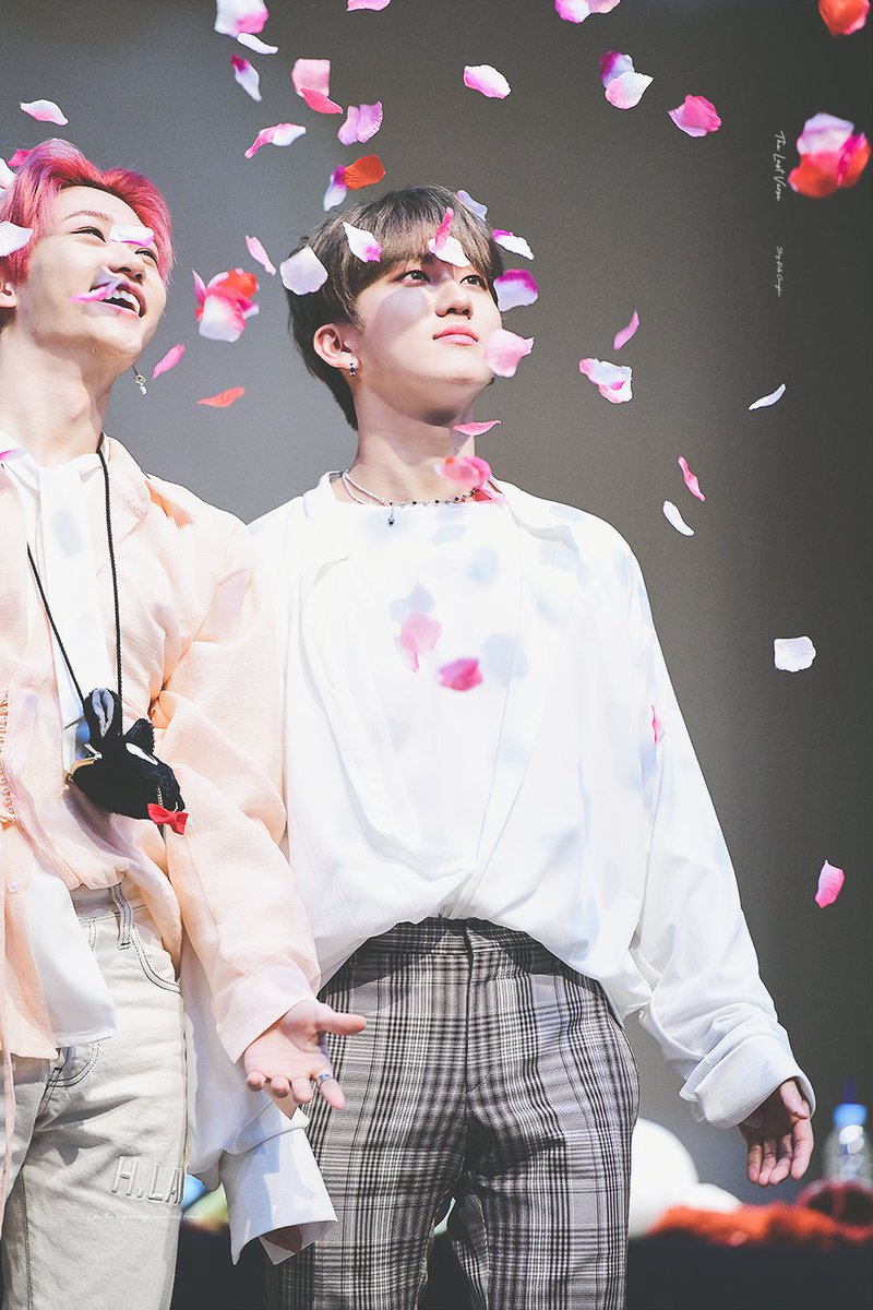 TheLastVerse_cb's tweet photo. 200104 노량진 🌹🌸🌹🌸

#스트레이키즈 #StrayKids #スキズ
#창빈 #ChangBin #チャンビン
@Stray_Kids https://t.co/MruHz89uvy