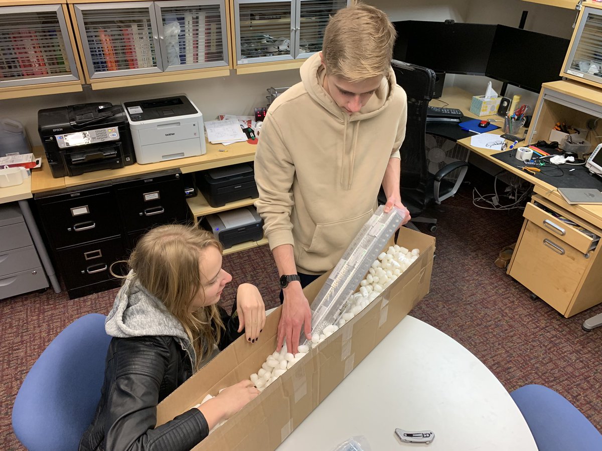 Designosaurs tweet media