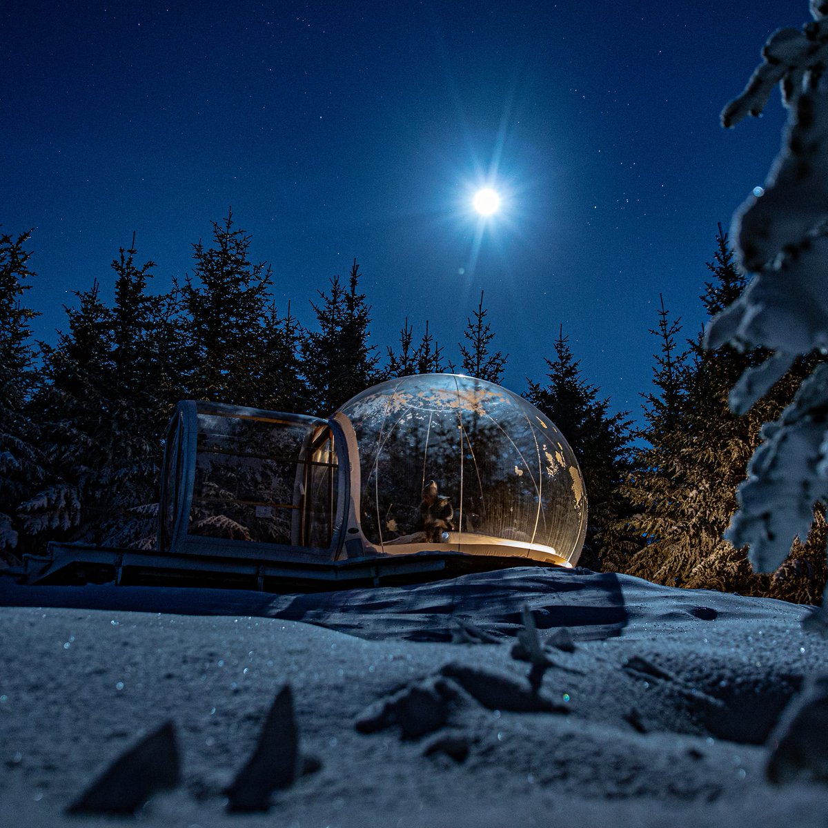 bubbleiceland's tweet photo. Winter wonderland #iceland

https://t.co/Um7inV9E9v

#trip #travel #icelandtravel #mystopover #winter #NorthernLights #AuroraBorealis #BUCKETLIST #tips https://t.co/HOaBu5gZ1Z
