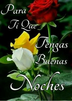 @will6942 @edalge @edvsm08 @machadodz @1412Yolis @iEduardOZzo @eduarport @quiskillosa @emercedesvc @teleSURvzla @mariatiza @mariaca89329080 @Mtvs64 @lilianari_01 @liliamm_27 @CARMONALINDA @latoyter @aidalandaeta2 @kriyrafa @amelia74698445 @Linda_Guerrera2 @ChavistaGanador @cmao82 @MagdaActiva @yami2336 #PazYUnionCivicoMilitar ABUNDANTES BENDICIONES EN NOMBRE DE CRISTO...