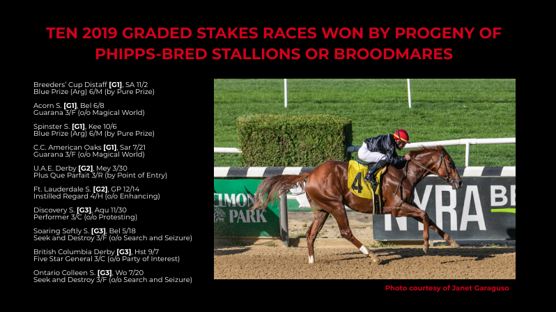 PhippsStableFan's tweet photo. BLOODLINES:🏆10 GRADED STAKES WINNERS IN 2019:
Progeny of Phipps-bred stallions or mares won 10 graded stakes in 2019! Congrats to their connections. #PhippsStable #GreatBreeding #Performer #BluePrize #Guarana #PlusQueParfait #InstilledRegard #SeekAndDestroy #FiveStarGeneral https://t.co/uUL2IMDlTn